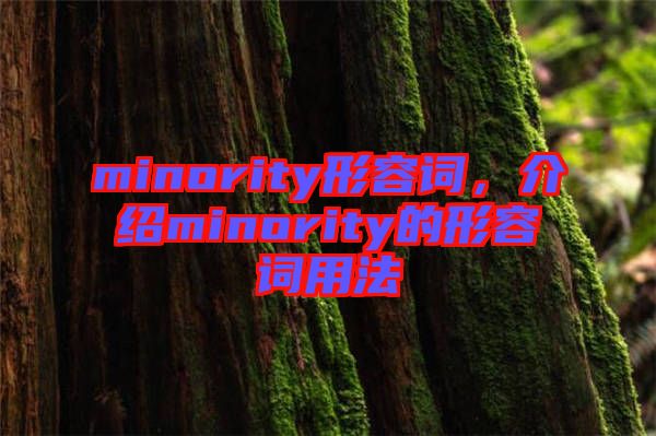 minority形容詞，介紹minority的形容詞用法