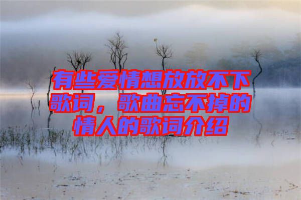 有些愛(ài)情想放放不下歌詞，歌曲忘不掉的情人的歌詞介紹