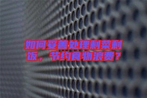 如何妥善處理剩菜剩飯，節(jié)約食物浪費(fèi)？