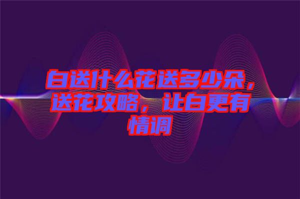 白送什么花送多少朵，送花攻略，讓白更有情調(diào)