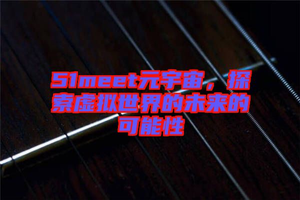 51meet元宇宙，探索虛擬世界的未來的可能性