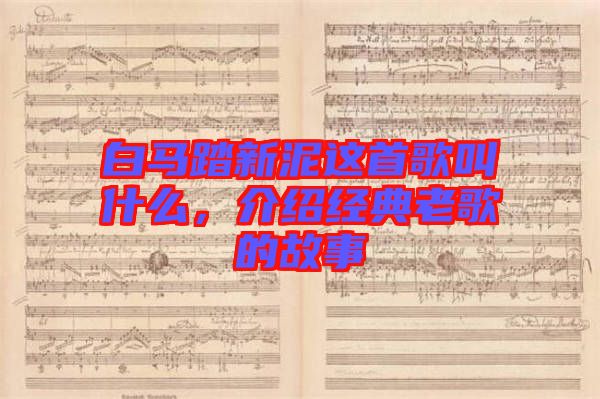 白馬踏新泥這首歌叫什么，介紹經(jīng)典老歌的故事