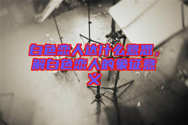 白色戀人達(dá)什么意思，解白色戀人的象征意義