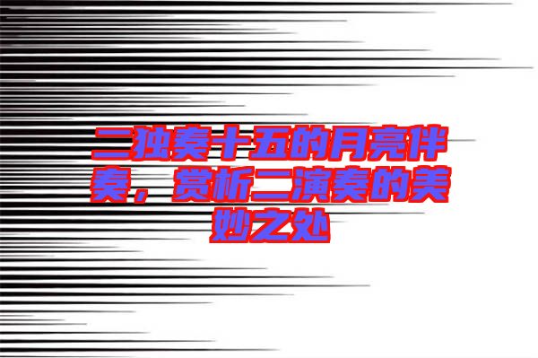 二獨(dú)奏十五的月亮伴奏，賞析二演奏的美妙之處