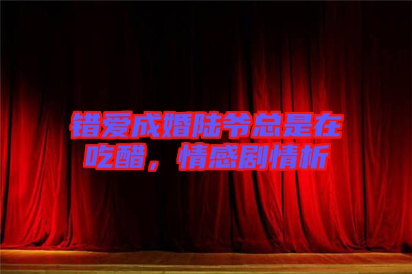 錯(cuò)愛成婚陸爺總是在吃醋，情感劇情析