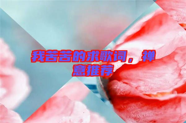 我苦苦的求歌詞，禪意推薦