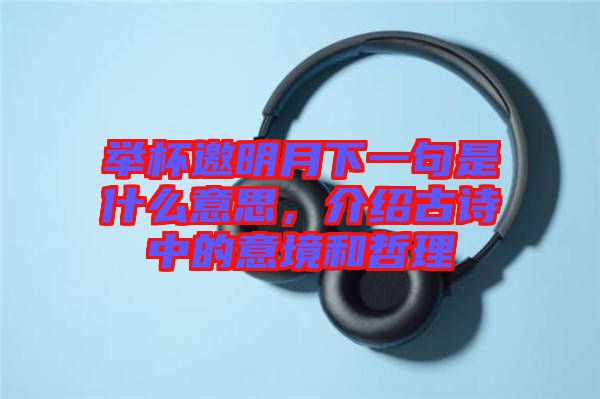 舉杯邀明月下一句是什么意思，介紹古詩中的意境和哲理