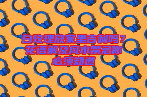 白玫瑰放家里吉利嗎？花語解及風水禁忌你必須知道