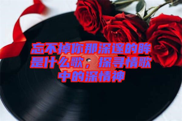 忘不掉你那深邃的眸是什么歌，探尋情歌中的深情神