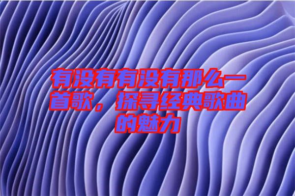有沒有有沒有那么一首歌，探尋經(jīng)典歌曲的魅力