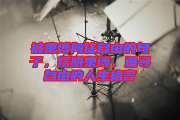 被束縛向往自由的句子，擺脫束縛，追尋自由的人生格言