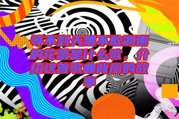 等不到天黑不敢凋謝的花蕾是什么歌，介紹這首歌曲背后的故事