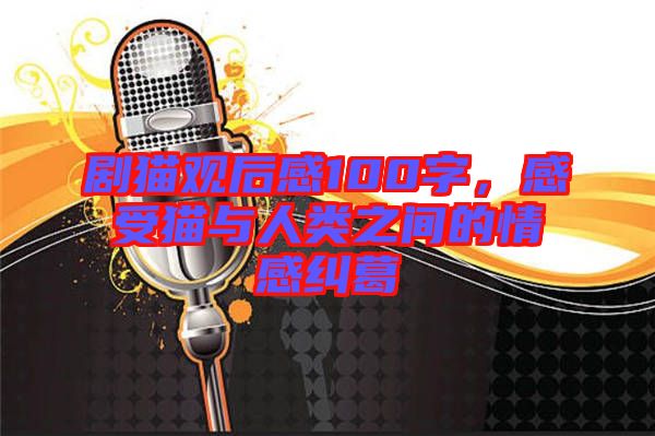 劇貓觀后感100字，感受貓與人類之間的情感糾葛