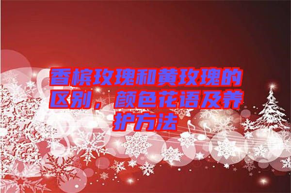 香檳玫瑰和黃玫瑰的區(qū)別，顏色花語及養(yǎng)護(hù)方法