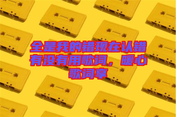 全是我的錯(cuò)現(xiàn)在認(rèn)錯(cuò)有沒(méi)有用歌詞，暖心歌詞享