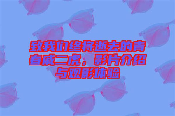 致我們終將逝去的青春戚二虎，影片介紹與觀影體驗(yàn)