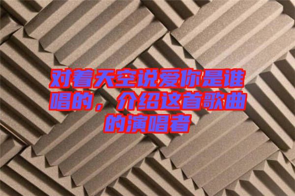 對著天空說愛你是誰唱的，介紹這首歌曲的演唱者