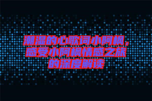 潮濕的心歌詞小阿楓，感受小阿楓情感之旅的深度解讀