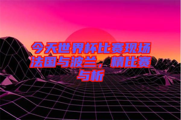 今天世界杯比賽現(xiàn)場(chǎng)法國(guó)與波蘭，精比賽與析