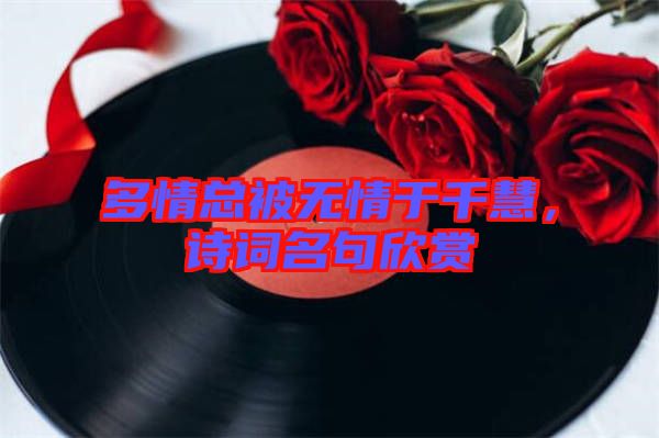 多情總被無情于千慧，詩詞名句欣賞