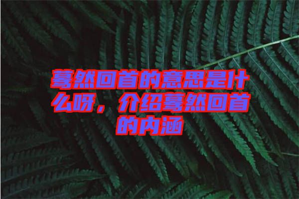 驀然回首的意思是什么呀，介紹驀然回首的內(nèi)涵