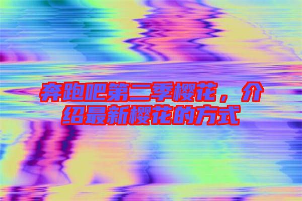 奔跑吧第二季櫻花，介紹最新櫻花的方式