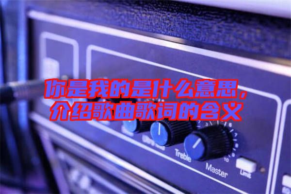 你是我的是什么意思，介紹歌曲歌詞的含義