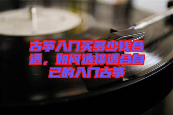 古箏入門買多少錢合適，如何選擇適合自己的入門古箏