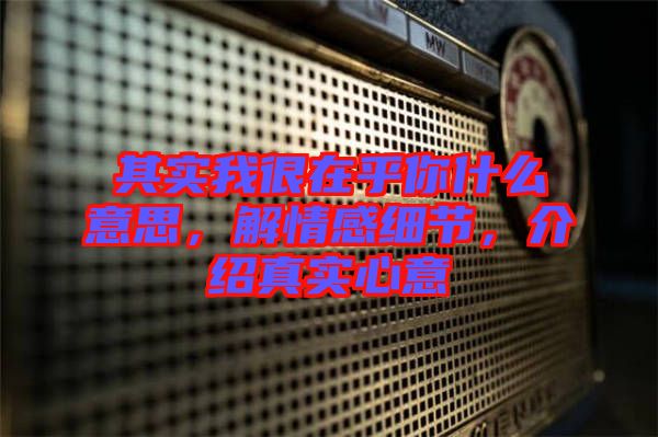 其實(shí)我很在乎你什么意思，解情感細(xì)節(jié)，介紹真實(shí)心意