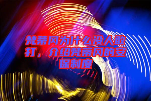 梵蒂岡為什么沒人敢打，介紹梵蒂岡的安保制度