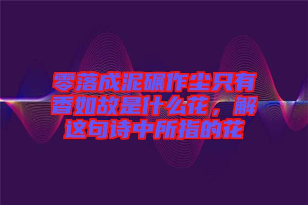 零落成泥碾作塵只有香如故是什么花，解這句詩中所指的花