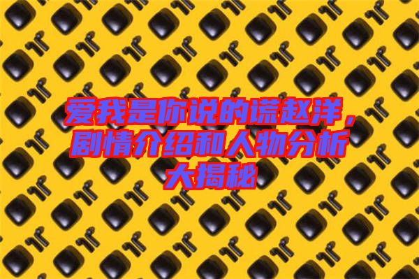 愛(ài)我是你說(shuō)的謊趙洋，劇情介紹和人物分析大揭秘