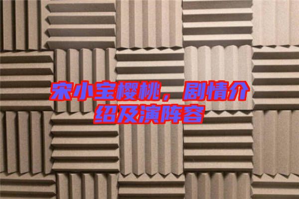 宋小寶櫻桃，劇情介紹及演陣容