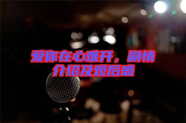 愛你在心難開，劇情介紹及觀后感