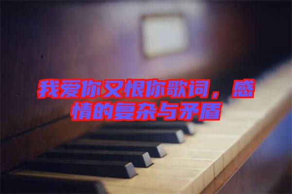 我愛你又恨你歌詞，感情的復(fù)雜與矛盾