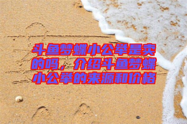 斗魚夢蝶小公舉是賣的嗎，介紹斗魚夢蝶小公舉的來源和價(jià)格