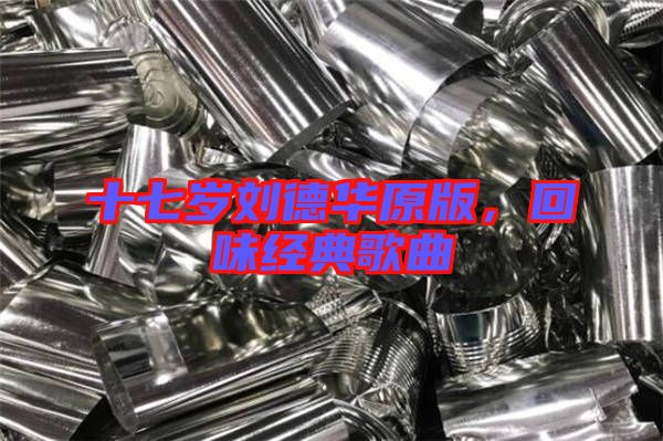 十七歲劉德華原版，回味經(jīng)典歌曲