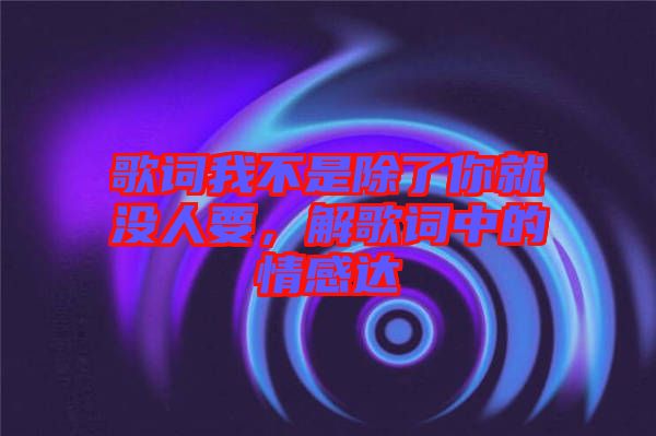 歌詞我不是除了你就沒人要，解歌詞中的情感達