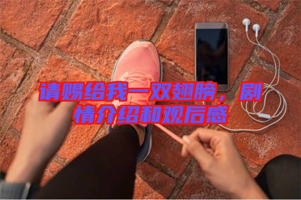 請賜給我一雙翅膀，劇情介紹和觀后感