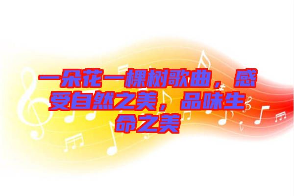 一朵花一棵樹歌曲，感受自然之美，品味生命之美
