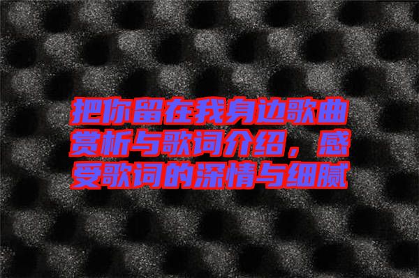 把你留在我身邊歌曲賞析與歌詞介紹，感受歌詞的深情與細膩