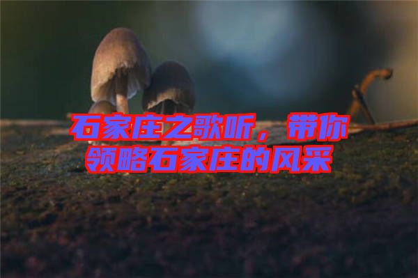 石家莊之歌聽，帶你領略石家莊的風采