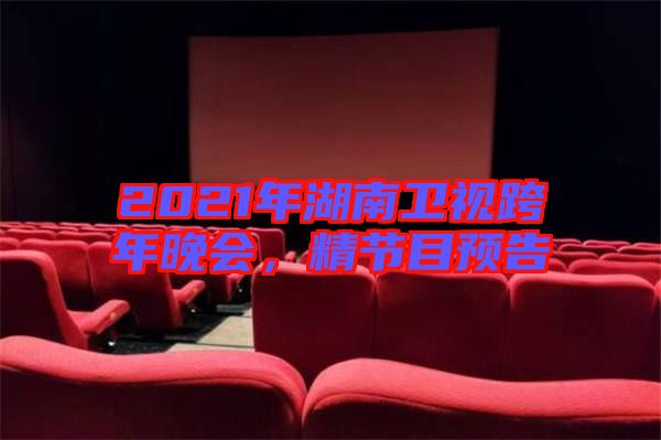 2021年湖南衛(wèi)視跨年晚會(huì)，精節(jié)目預(yù)告