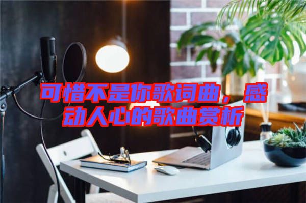 可惜不是你歌詞曲，感動人心的歌曲賞析