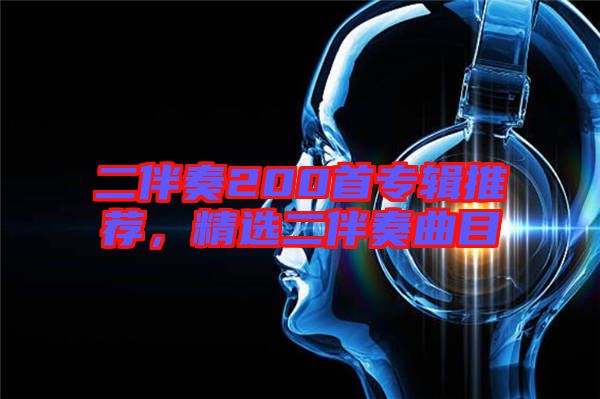 二伴奏200首專輯推薦，精選二伴奏曲目