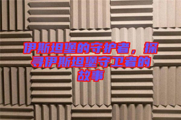 伊斯坦堡的守護(hù)者，探尋伊斯坦堡守衛(wèi)者的故事