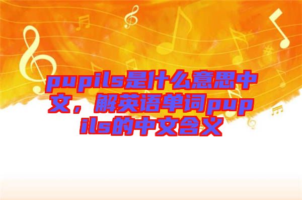 pupils是什么意思中文，解英語(yǔ)單詞pupils的中文含義