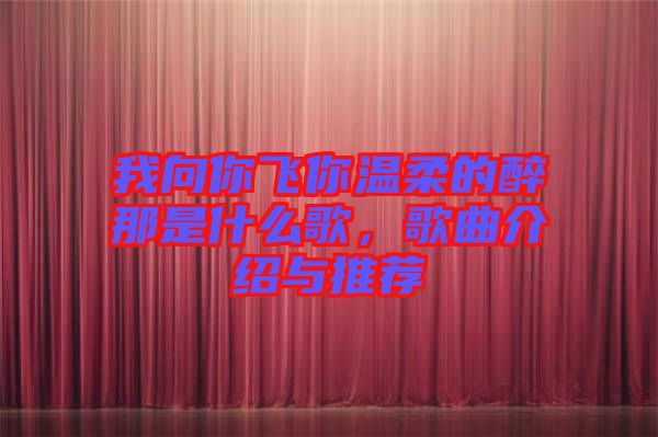 我向你飛你溫柔的醉那是什么歌，歌曲介紹與推薦