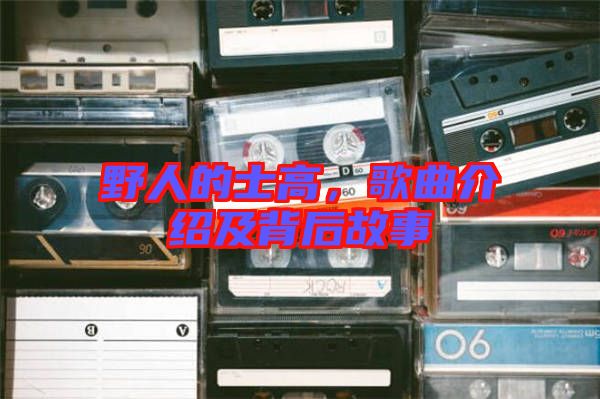 野人的士高，歌曲介紹及背后故事