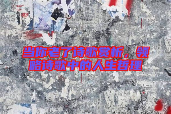 當你老了詩歌賞析，領(lǐng)略詩歌中的人生哲理